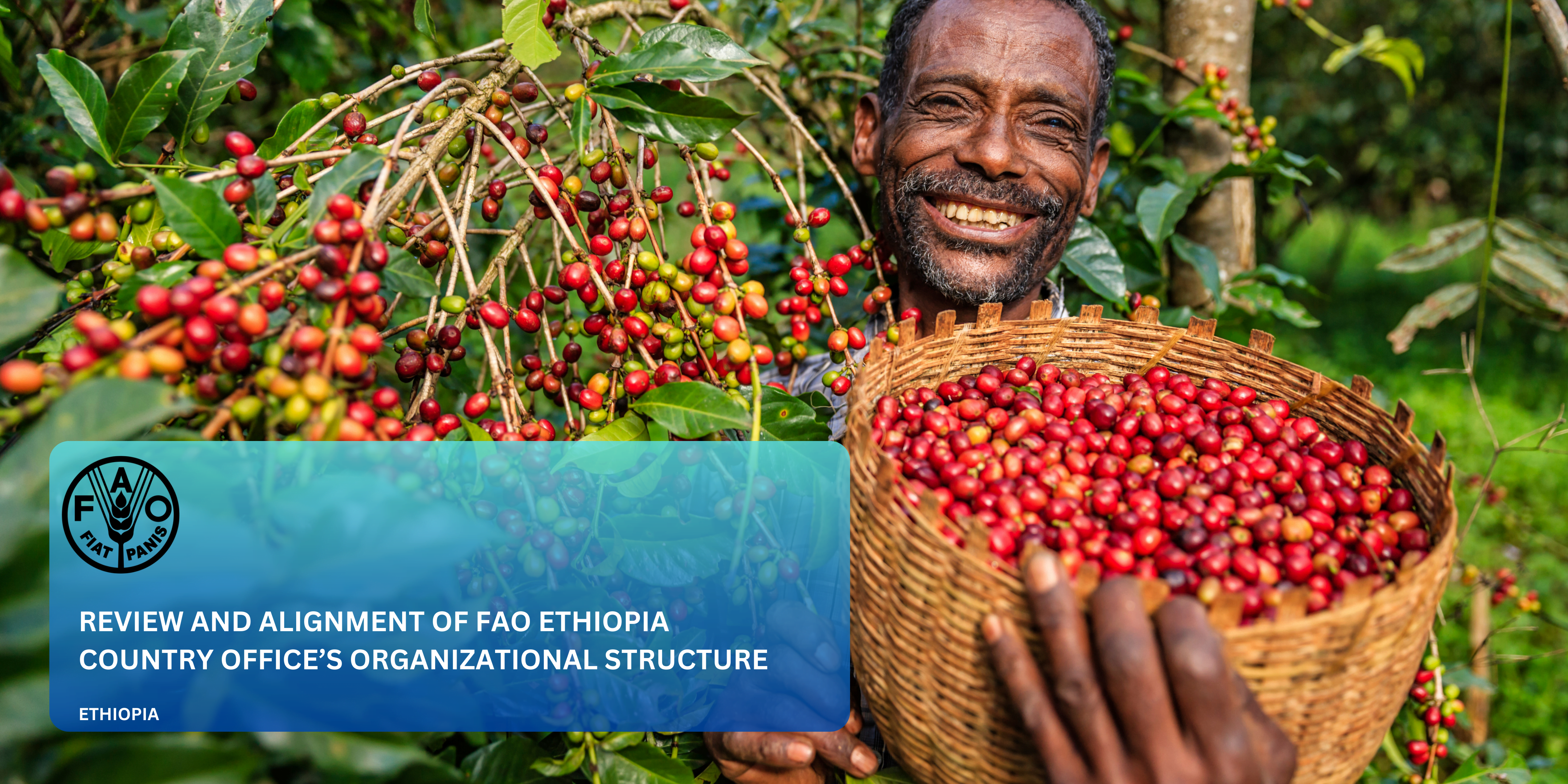 review-and-alignment-of-fao-ethiopia-country-offices-organizational-structure