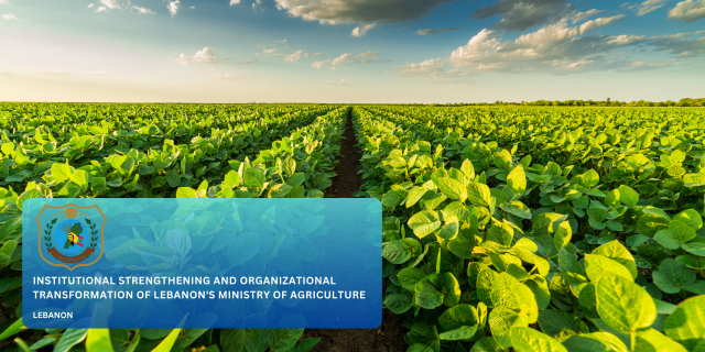 Website projects (2)